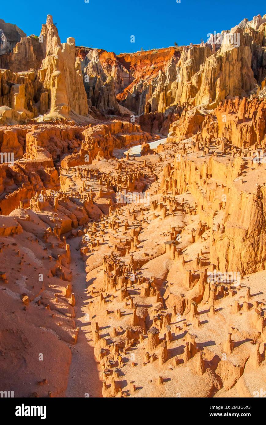 Lavaka di Ankarokaroka, un paesaggio unico come la luna, Ankarafantsika National Park, Madagascar Foto Stock