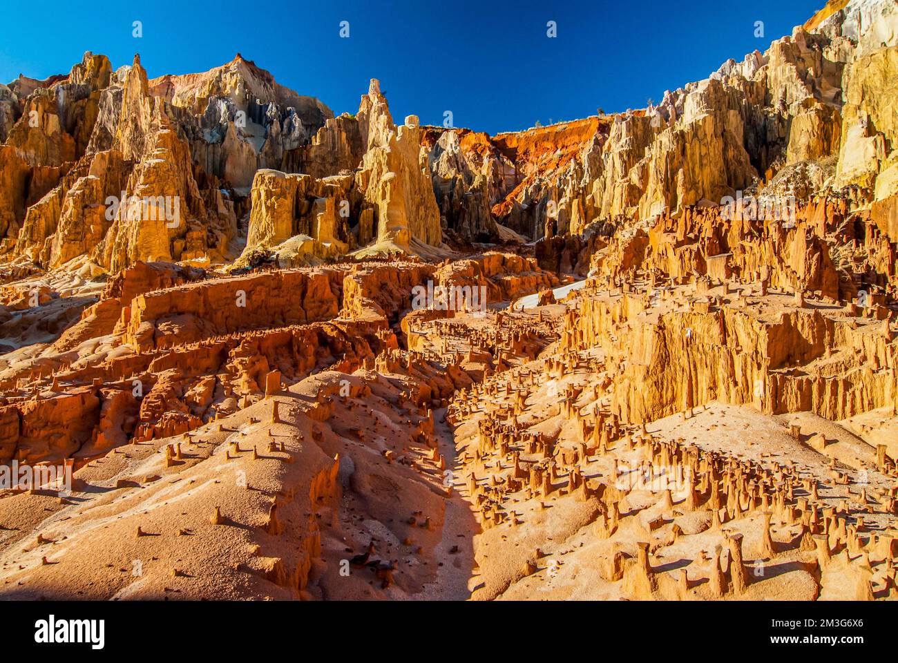 Lavaka di Ankarokaroka, un paesaggio unico come la luna, Ankarafantsika National Park, Madagascar Foto Stock