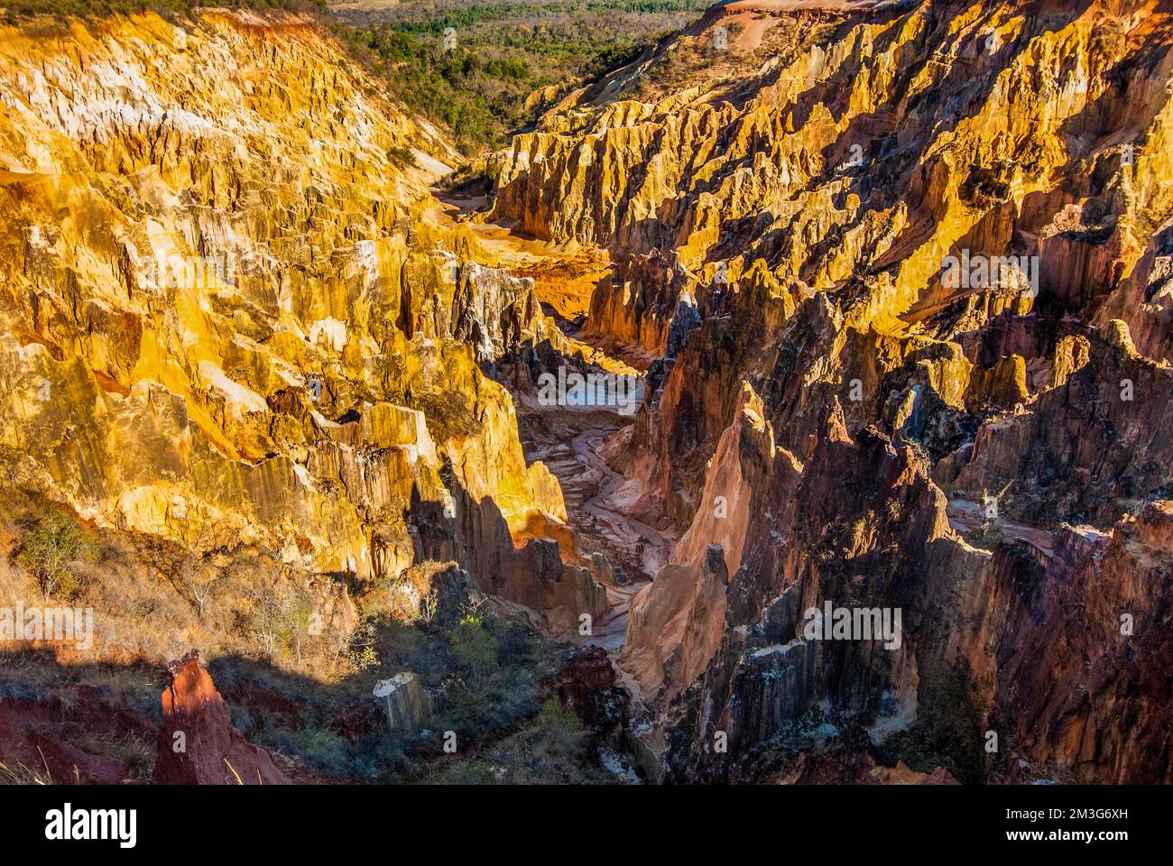 Lavaka di Ankarokaroka, un paesaggio unico come la luna, Ankarafantsika National Park, Madagascar Foto Stock