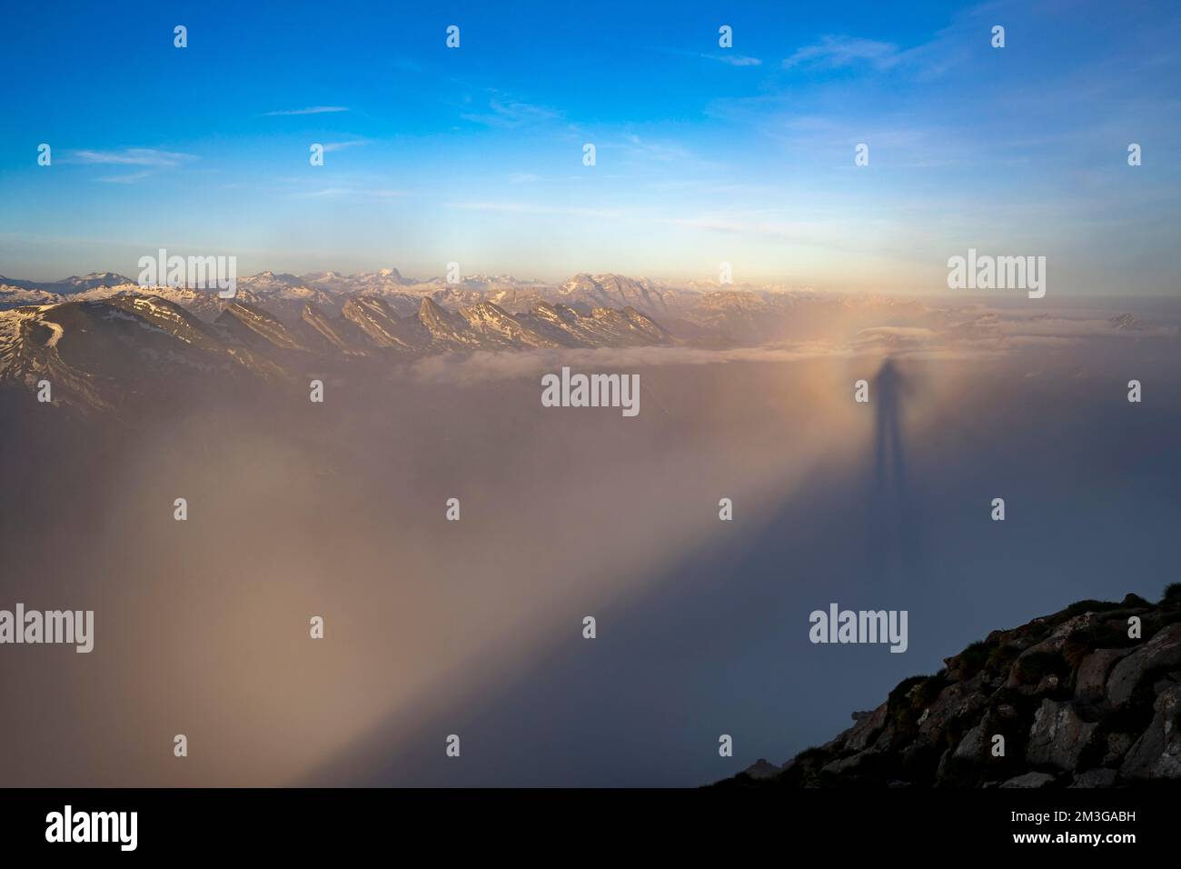 Ombra proiettata dal fotografo nella nebbia, sullo sfondo le vette del Churfirsten, Wildhaus, Appenzell, Svizzera Foto Stock