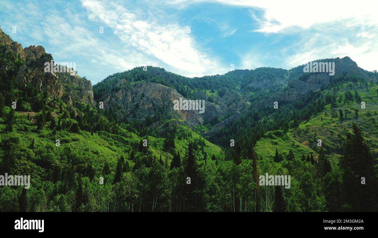 Una linea di cresta molto lussureggiante, verde e rocciosa nascosta in profondità nel Big Cottonwood Canyon Foto Stock Una linea di cresta molto lussureggiante, verde e rocciosa nascosta in profondità nel Big Cottonwood Canyon Foto Stock
