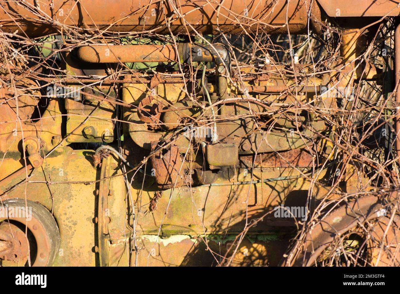 Particolare del motore in vecchio trattore Fordson arrugginito abbandonato, cresciuto con erbacce e brami, Regno Unito Foto Stock