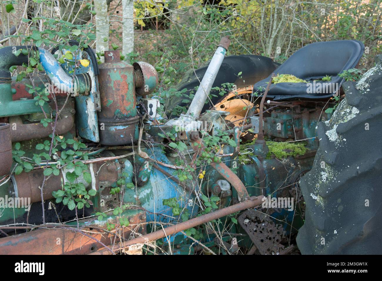 Particolare del motore e del sedile in vecchio trattore arrugginito abbandonato sovrascresciuto di erbacce e brami, Regno Unito Foto Stock