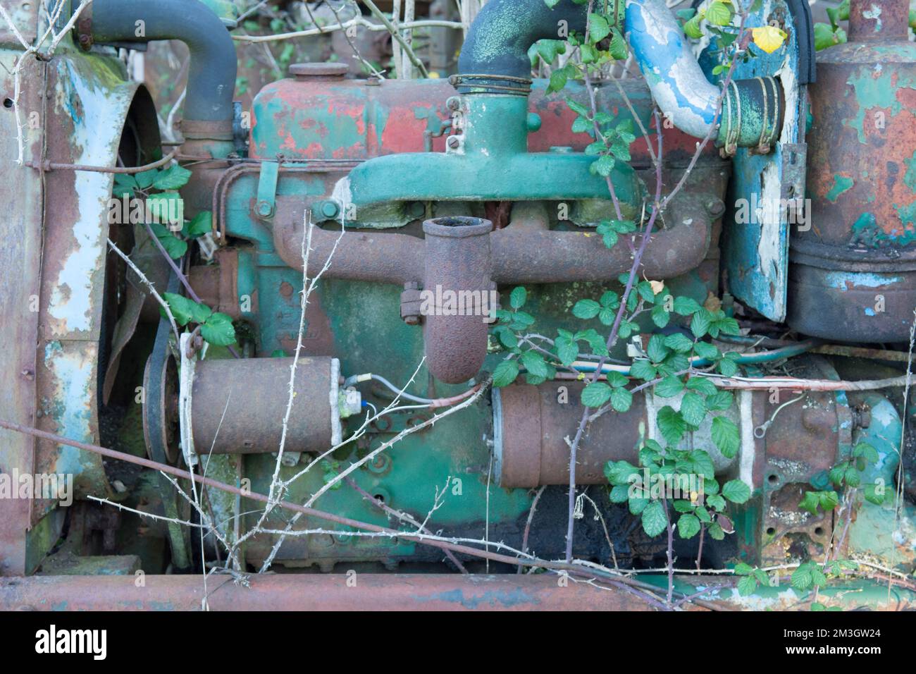 Particolare del motore in vecchio trattore arrugginito abbandonato, cresciuto con erbacce e ciottoli, Regno Unito Foto Stock