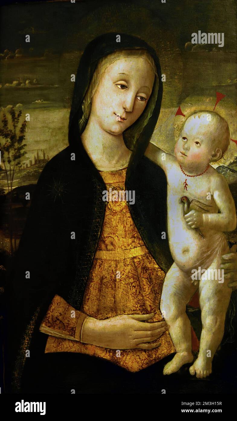 Madonna col Bambino di Bernardino Fungai 1460-1516 Italia. Foto Stock