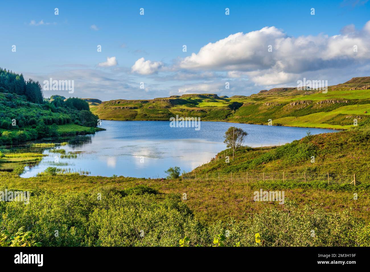 Loch an Torr, un piccolo e pittoresco lago d'acqua dolce vicino a Dervaig, nel nord dell'isola di Mull, in Scozia, Regno Unito Foto Stock