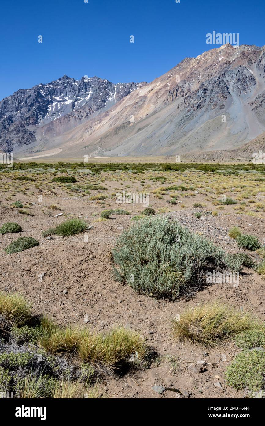 Paesaggio a Paso Vergara - attraversare il confine dal Cile all'Argentina mentre si viaggia in Sud America Foto Stock