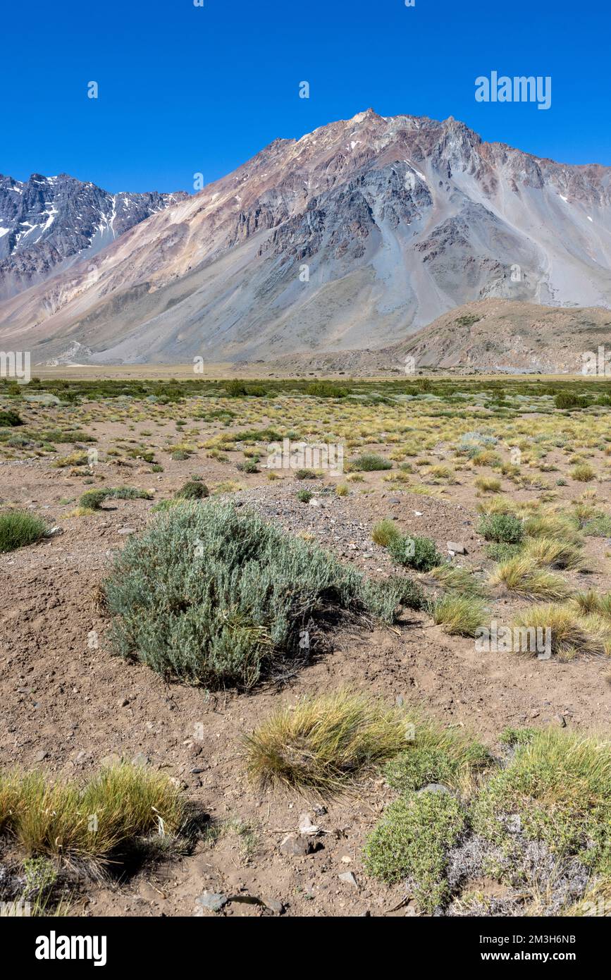 Paesaggio a Paso Vergara - attraversare il confine dal Cile all'Argentina mentre si viaggia in Sud America Foto Stock
