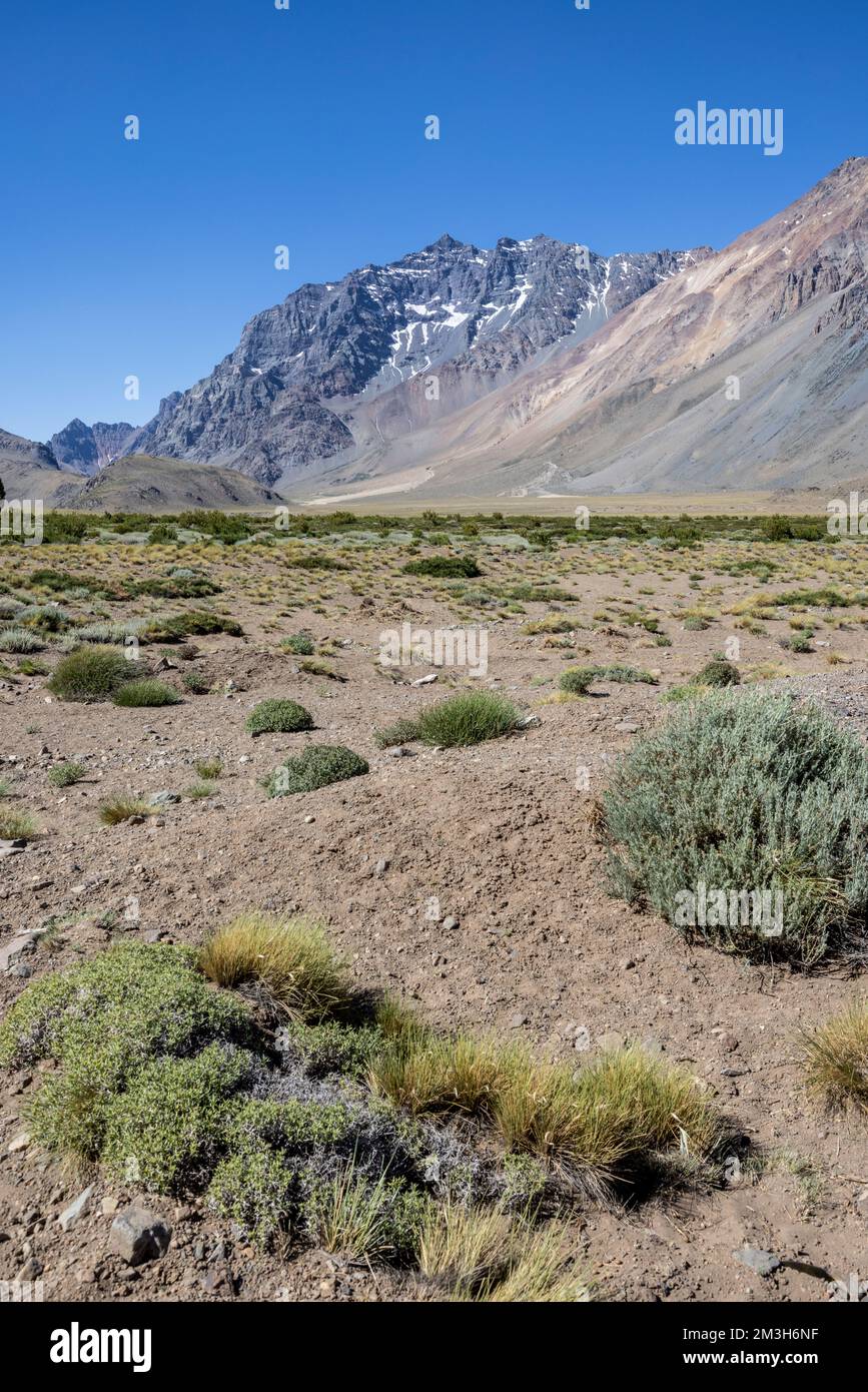 Paesaggio a Paso Vergara - attraversare il confine dal Cile all'Argentina mentre si viaggia in Sud America Foto Stock