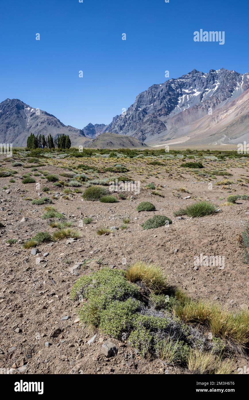 Paesaggio a Paso Vergara - attraversare il confine dal Cile all'Argentina mentre si viaggia in Sud America Foto Stock