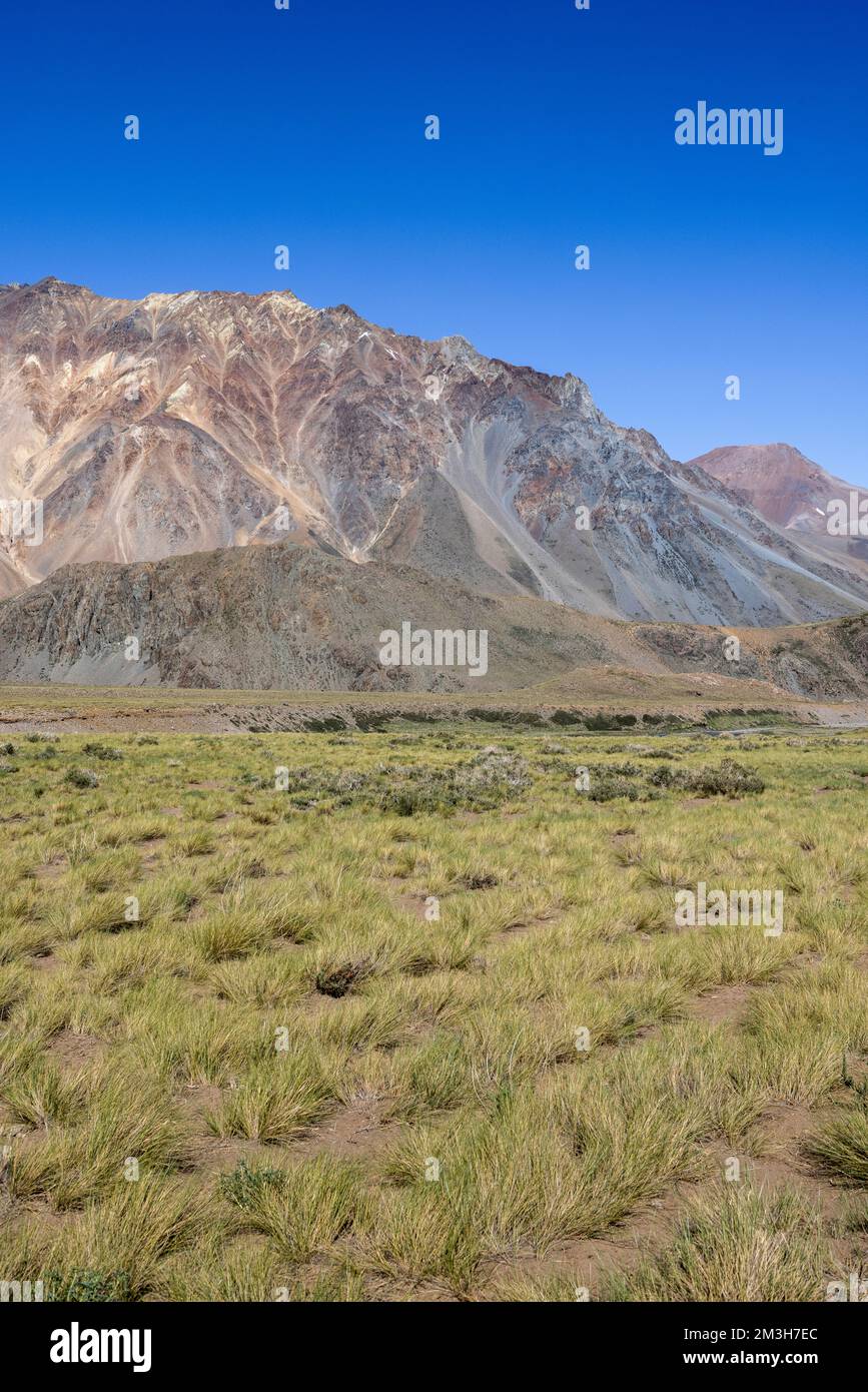 Paesaggio a Paso Vergara - attraversare il confine dal Cile all'Argentina mentre si viaggia in Sud America Foto Stock