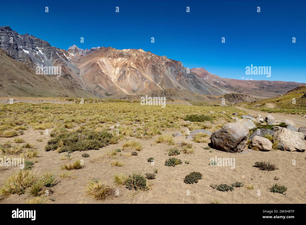 Paesaggio a Paso Vergara - attraversare il confine dal Cile all'Argentina mentre si viaggia in Sud America Foto Stock