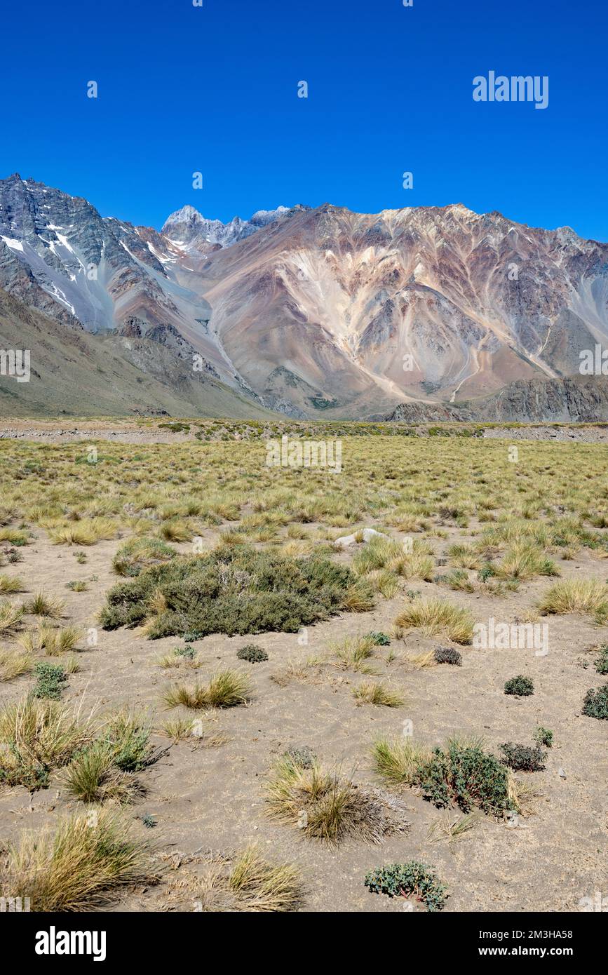 Paesaggio a Paso Vergara - attraversare il confine dal Cile all'Argentina mentre si viaggia in Sud America Foto Stock