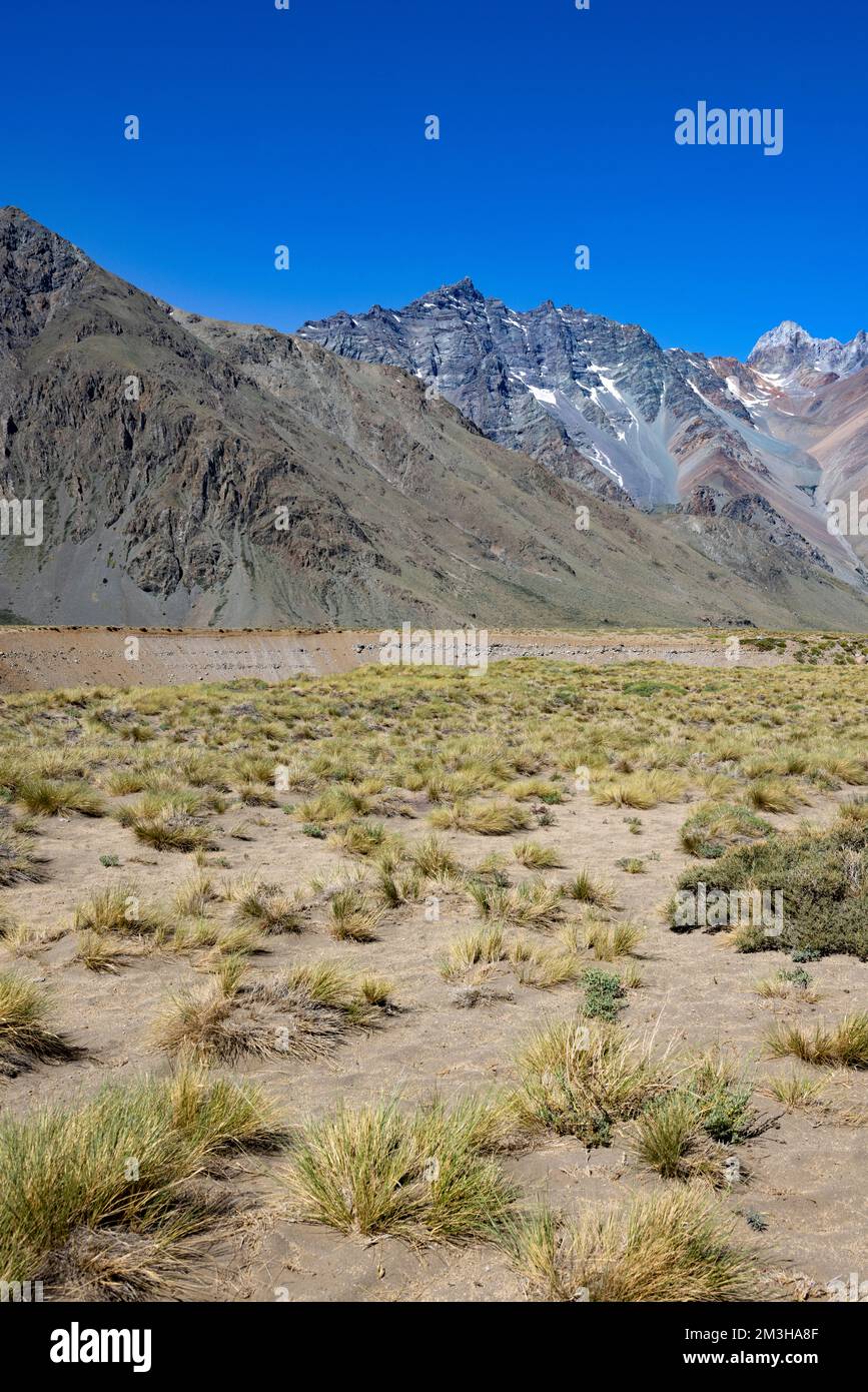Paesaggio a Paso Vergara - attraversare il confine dal Cile all'Argentina mentre si viaggia in Sud America Foto Stock