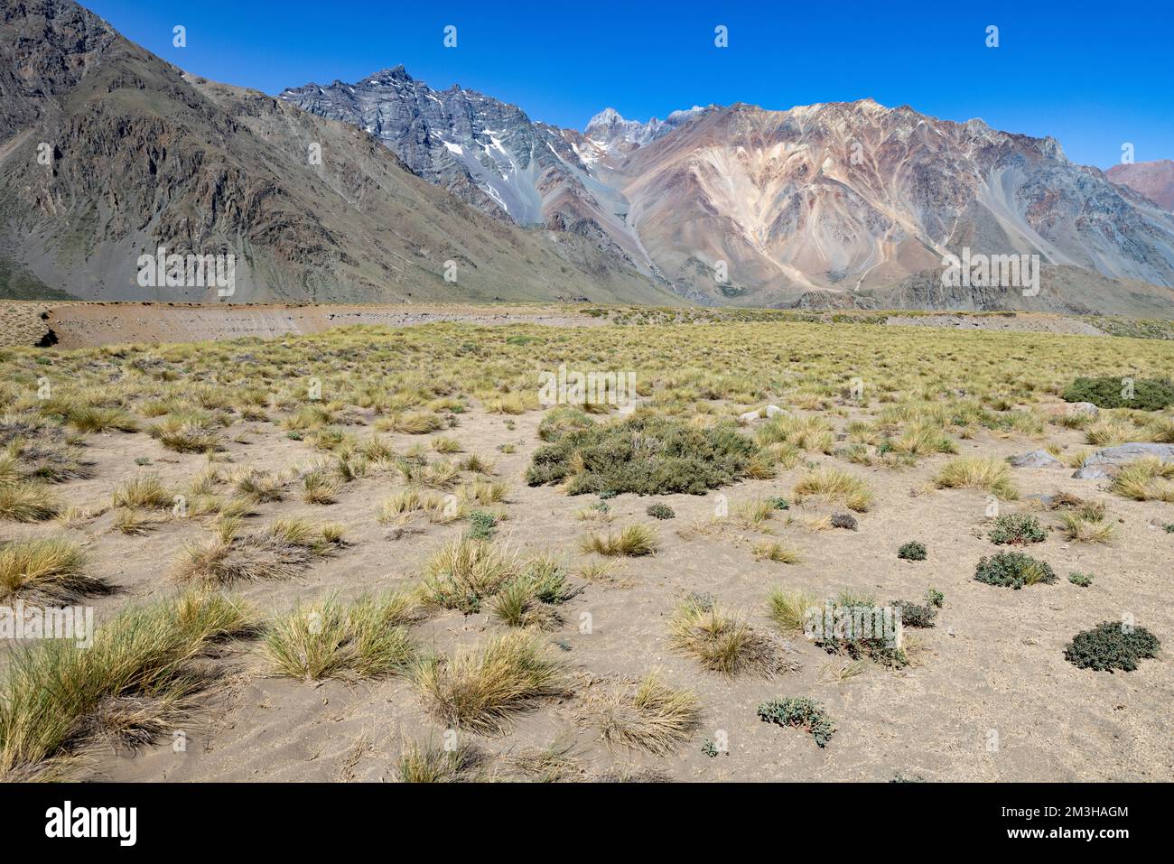 Paesaggio a Paso Vergara - attraversare il confine dal Cile all'Argentina mentre si viaggia in Sud America Foto Stock