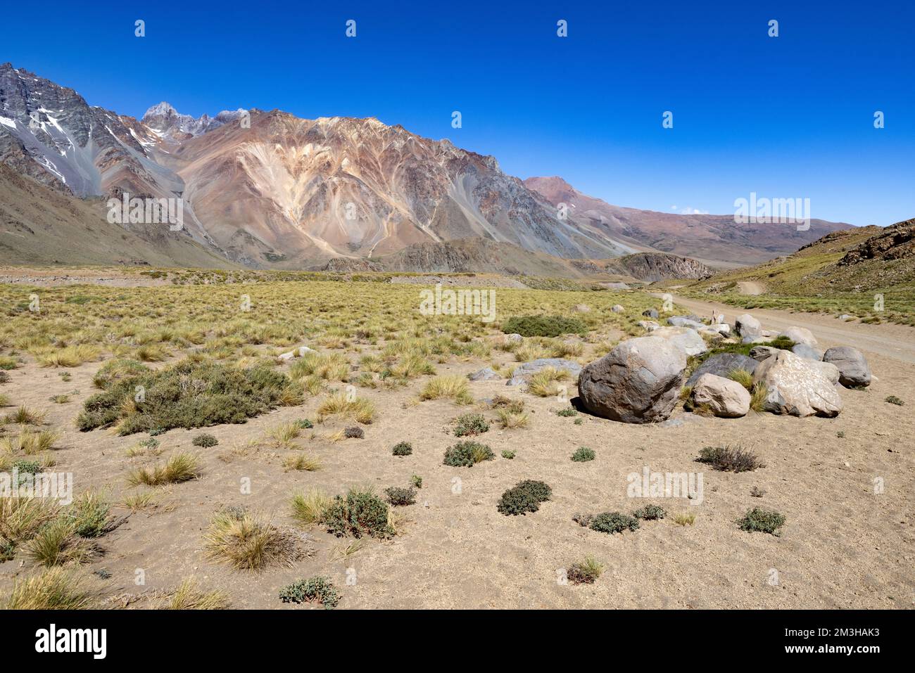 Paesaggio a Paso Vergara - attraversare il confine dal Cile all'Argentina mentre si viaggia in Sud America Foto Stock