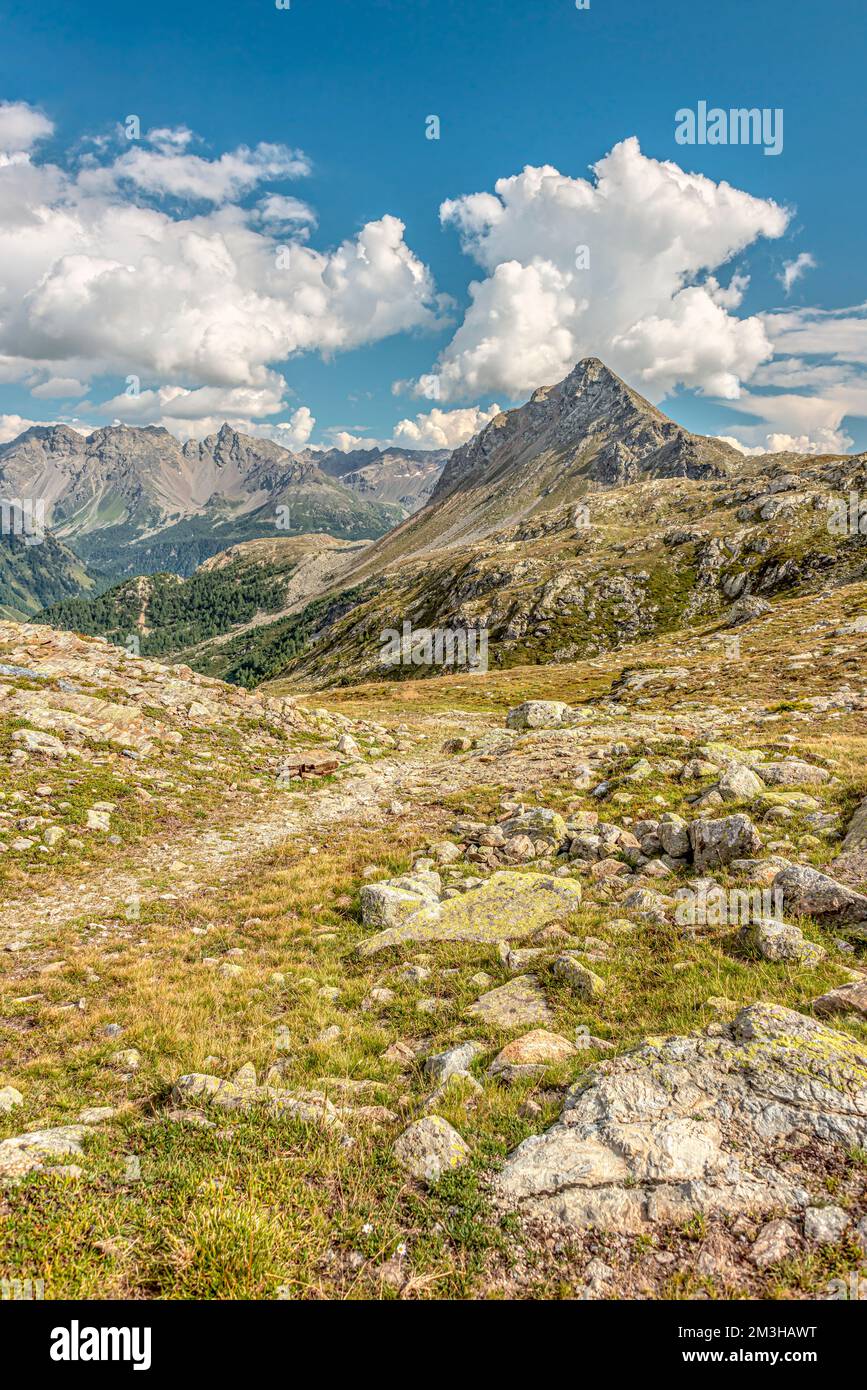 Paesaggio montano della Valposchaivo visto dal Passo Bernina, Grigioni, Svizzera, con Piz Sena sullo sfondo. Foto Stock