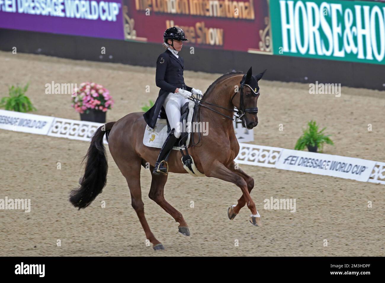 Excel Centre, Londra, Regno Unito. 15th Dec, 2022. 2022° International Horse of the Year Show Day 1; Simone Pearce equitazione Fiderdance nella Coppa del mondo DEI Dressage - Grand Prix Credit: Action Plus Sports/Alamy Live News Foto Stock