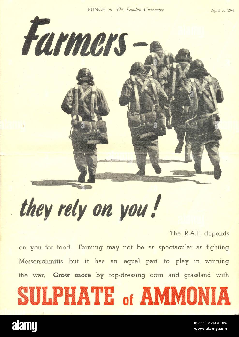 Pubblicità a pagina intera per solfato di ammoniaca nella rivista Punch 30 aprile 1941 sottolineando che il RAF dipende dagli agricoltori per il cibo Foto Stock