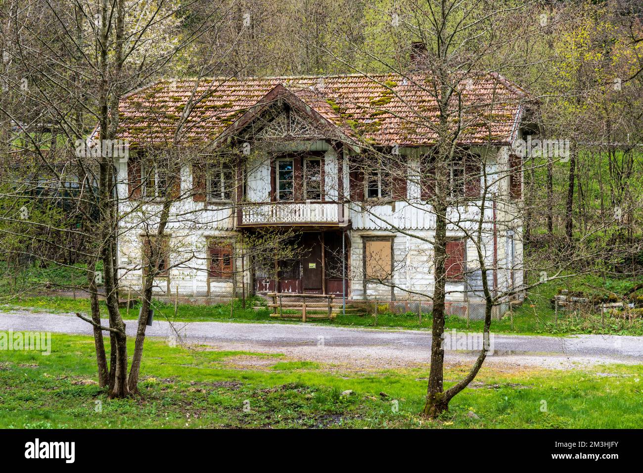 Foresta Nera (Schwarzwald) Casa , Germania Foto Stock