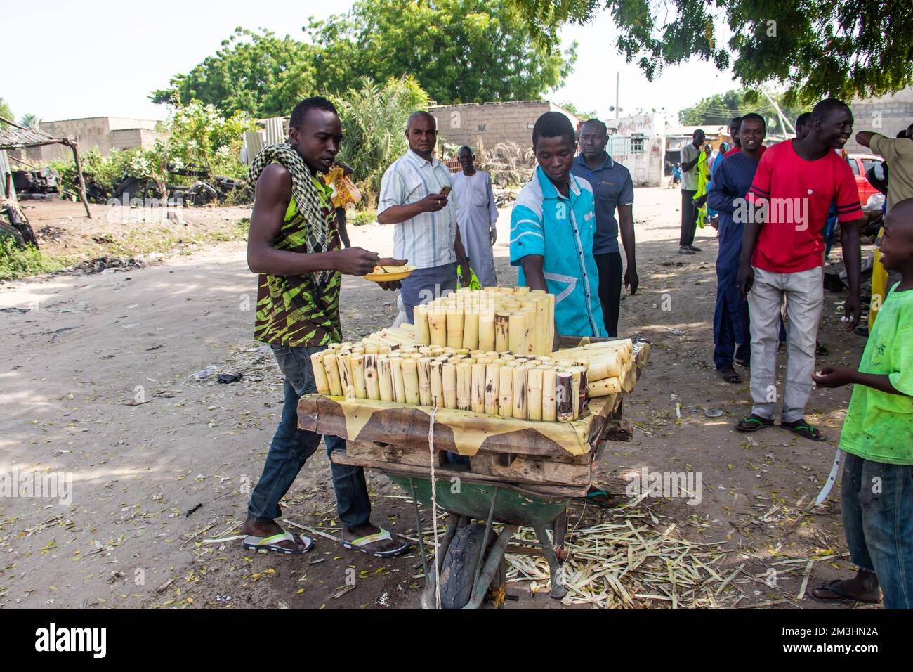 I venditori ambulanti delle strade africane vendono canna da zucchero come dolci locali, biologico sano senza additivi alimentari Foto Stock