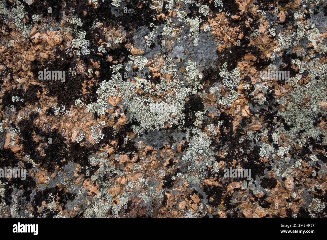 Primo piano di roccia lucida. Struttura colorata della scogliera di montagna. Foto Stock