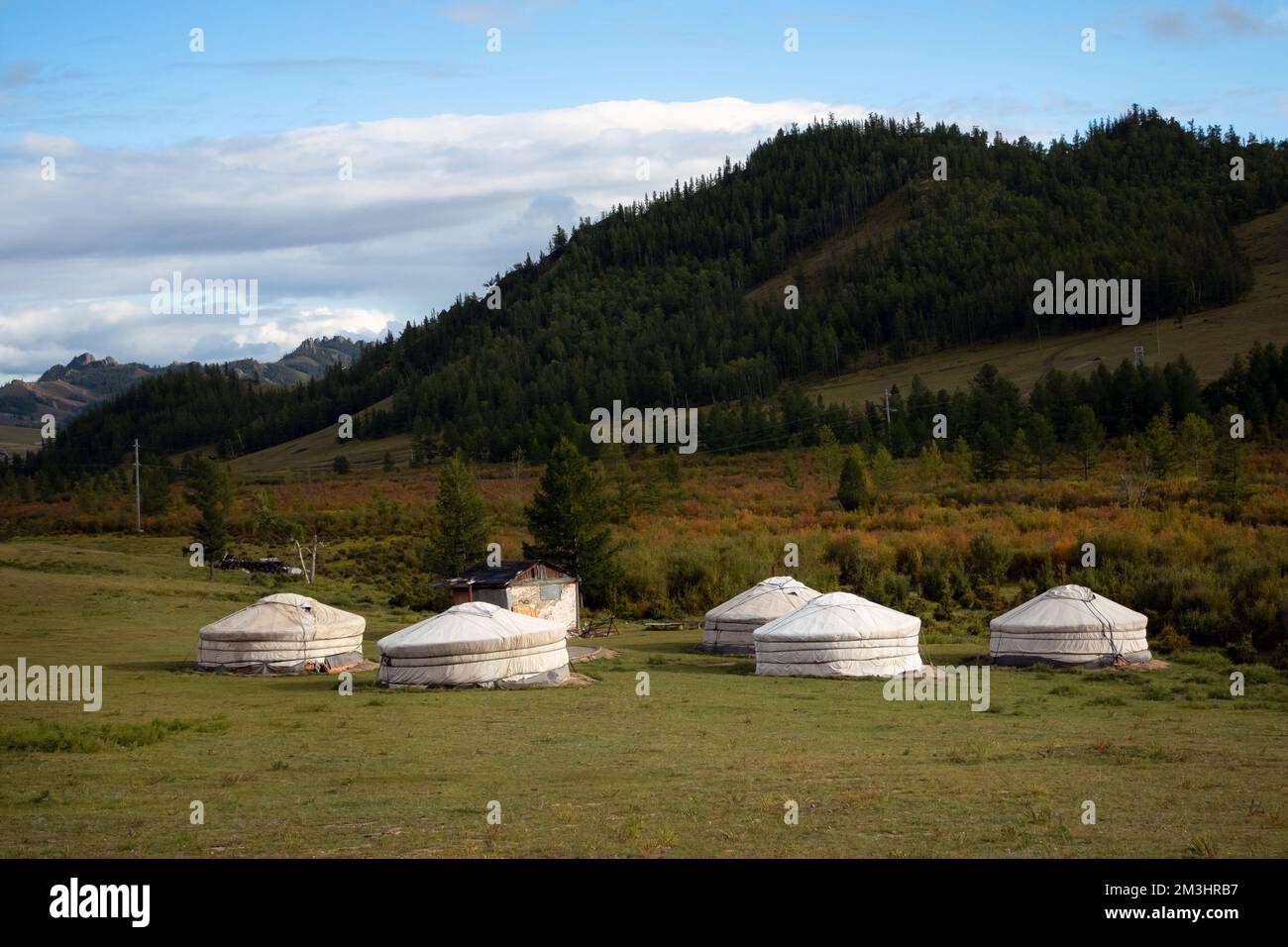 Campo di yurt circondato da alberi sulla cresta della montagna. Piccole capanne sulla cresta della collina in una giornata di sole. Foto Stock