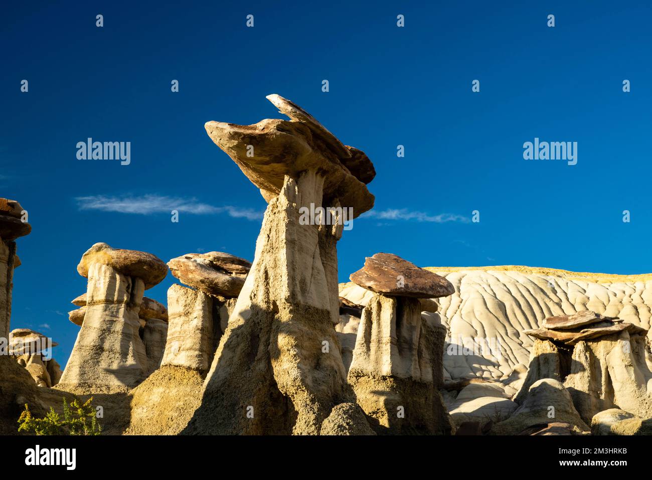 Fotografia dal deserto di Ah-Shi-SLE-Pah, un'area remota nel New Mexico centrale, Stati Uniti. Foto Stock