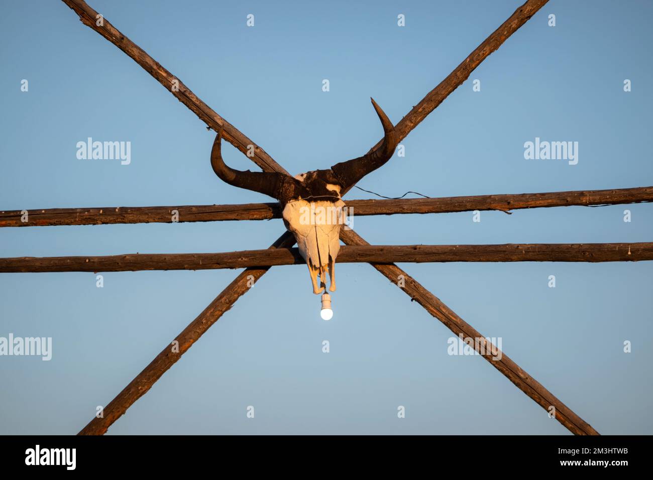 Vecchie teste di yak cranio appeso alla recinzione, cielo blu sullo sfondo. Bufala cranio usato come una lampada ombra penzolante su una tavola di legno. Foto Stock