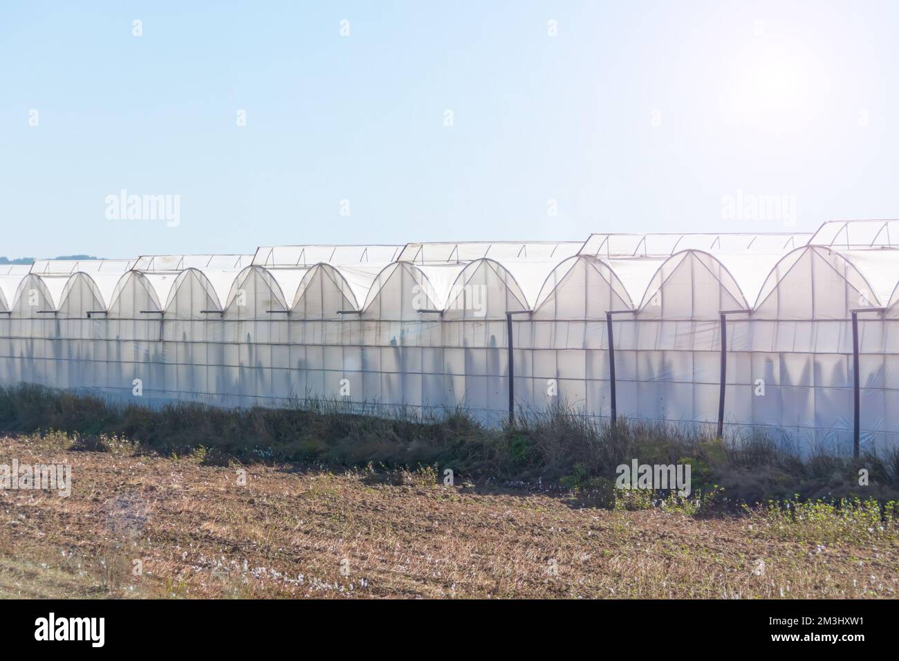 Vista di un paesaggio tipico con grandi serre per la coltivazione di frutta e verdura, in particolare banane. Complesso agro-industriale del paese Foto Stock