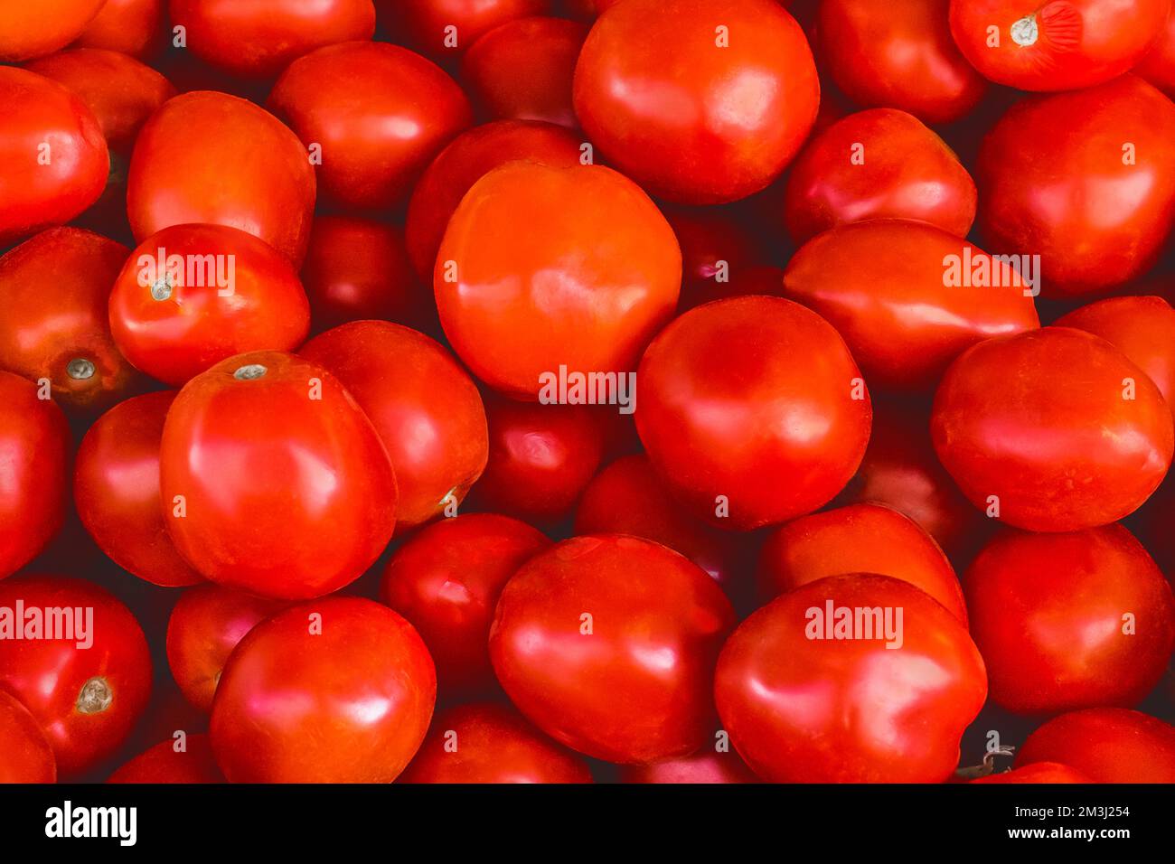 Mercato biologico rosso agricoltura pomodori fattoria deliziosi ortaggi pomodoro cibo vegetariano sano fresco maturo. Foto Stock