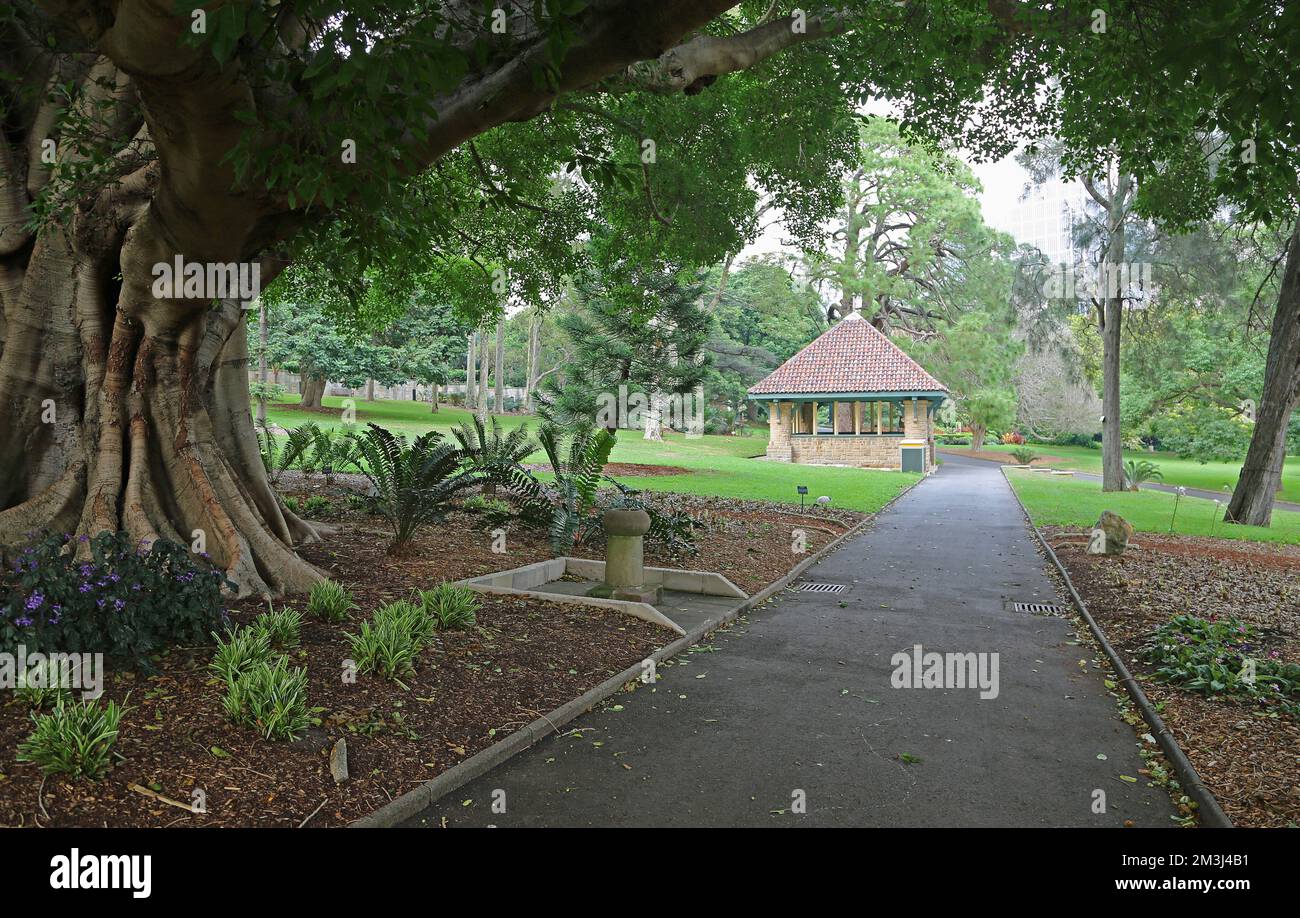 Il vicolo nel parco, Sydney Foto Stock