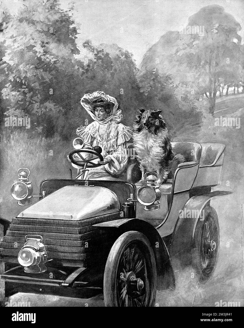 Autista femminile in campagna, accompagnato da un cane sul sedile del passeggero. Data: 1903 Foto Stock