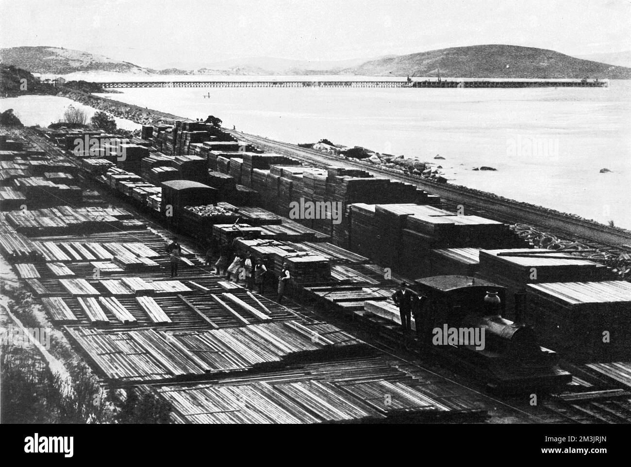 La ferrovia forestale, deposito Karri con il molo ferroviario del governo in lontananza, Albany, Australia Occidentale. 1897 Foto Stock