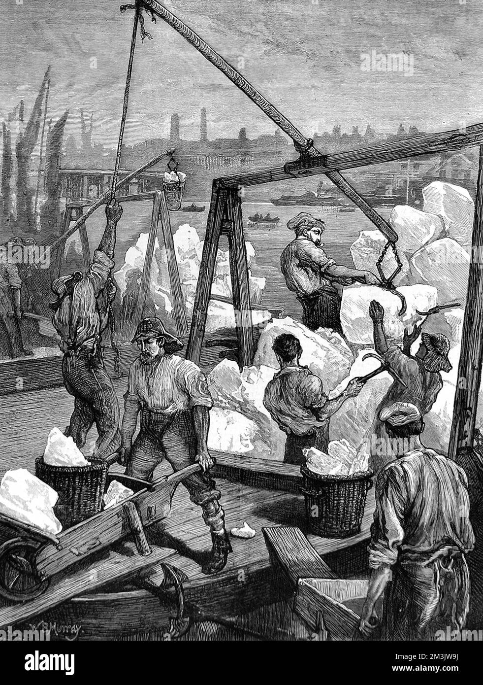 Il ghiaccio norvegese viene scaricato da una nave o da una chiatta in un molo di Londra. I lavoratori portuali sono visti utilizzando gru e assi per gestire il loro carico. 1874 Foto Stock