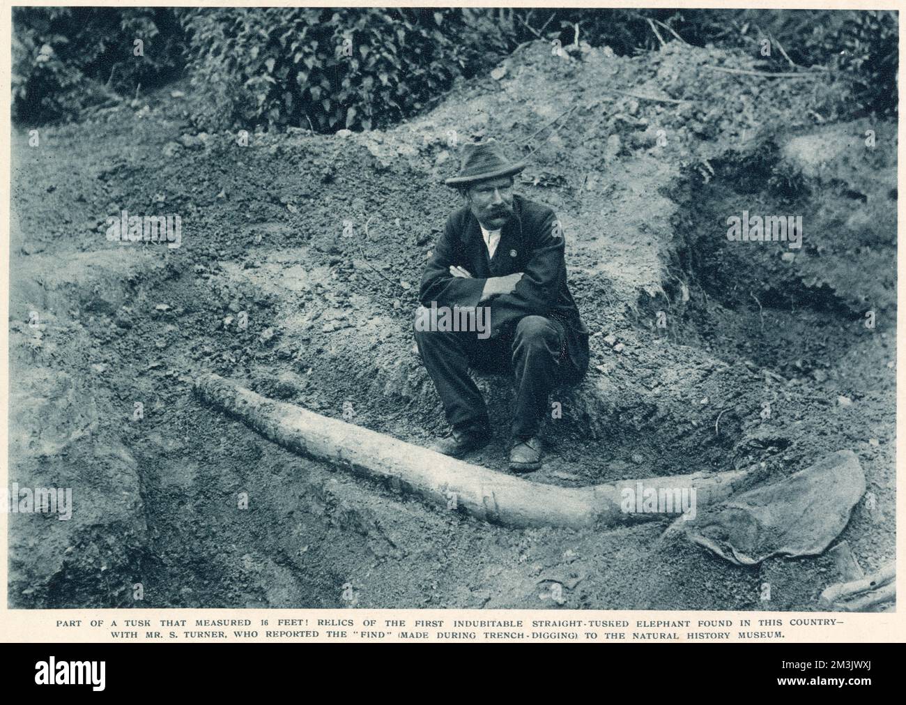 Questa è la prima scoperta di un elefante a zampa diritta preistorica, più grande di un mammut. La scoperta fu fatta a Upnor, vicino a Chatham nel Kent. Foto Stock