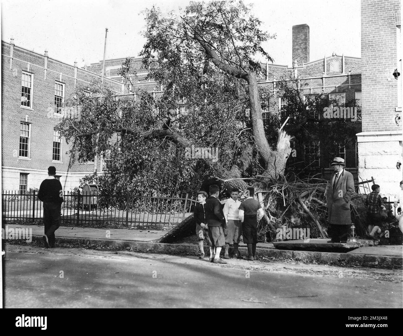 Oliver School, Lawrence , uragani, alberi Foto Stock