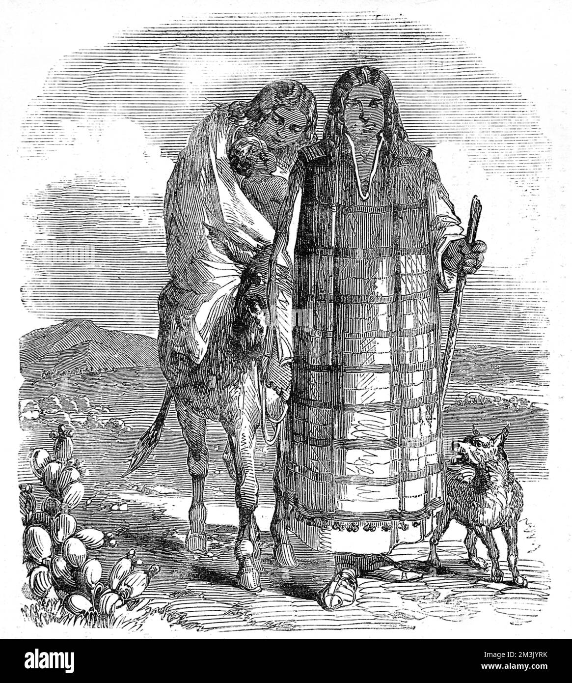 Indiani Diegeno che viaggiano attraverso la parte occidentale degli Stati Uniti Foto Stock