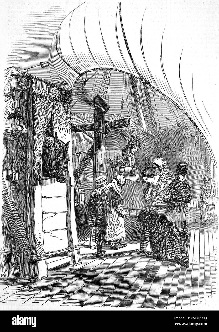 La cucina sul ponte di una nave emigrante, con un piccolo gruppo di persone radunate intorno ad un'urna da tè. In primo piano dell'immagine c'è un cavallo nella sua casella. 1849 Foto Stock