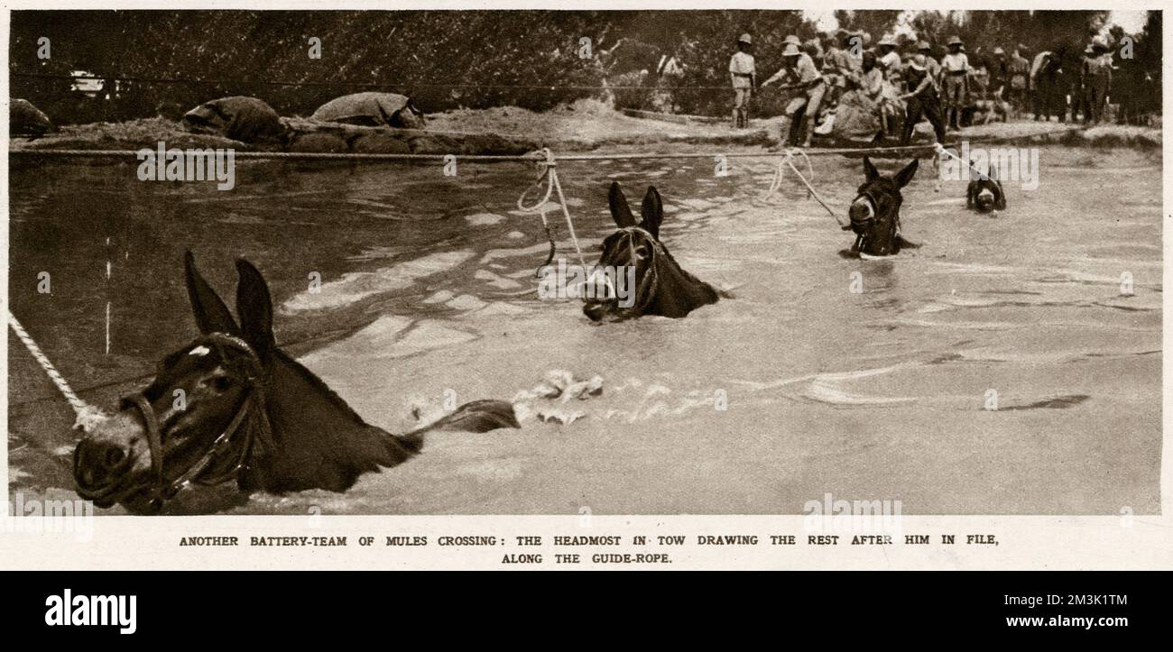 Una batteria di artiglieria indiana che attraversa un fiume Foto Stock