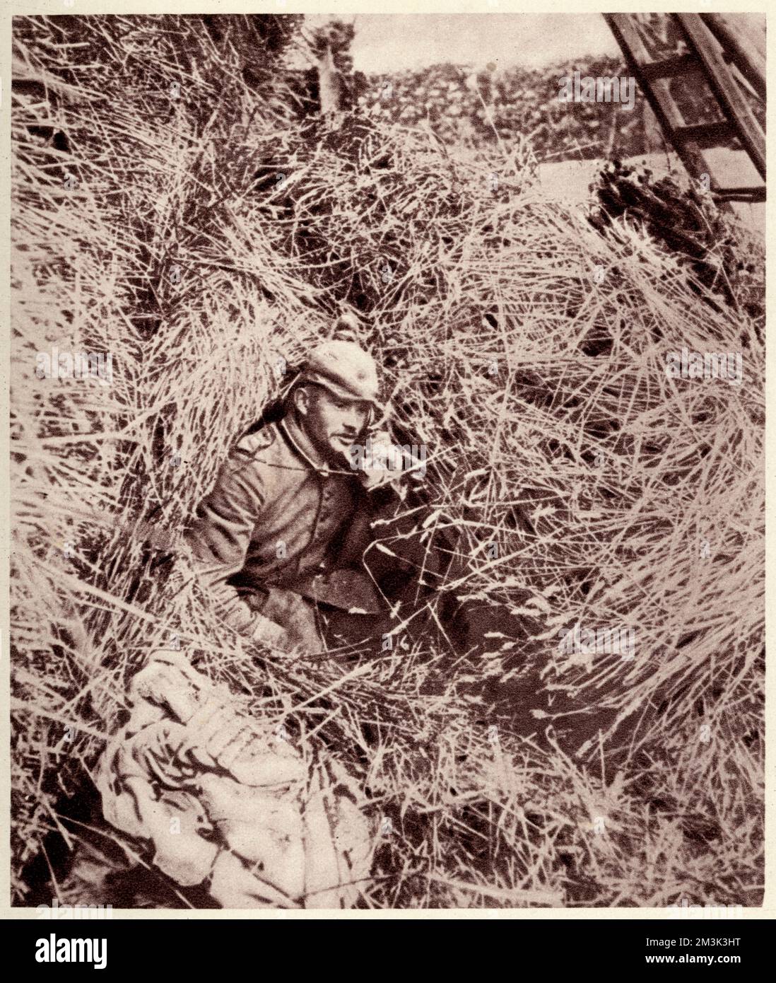 Postazione di osservazione dell'artiglieria tedesca in un pagliaio 1914 Foto Stock