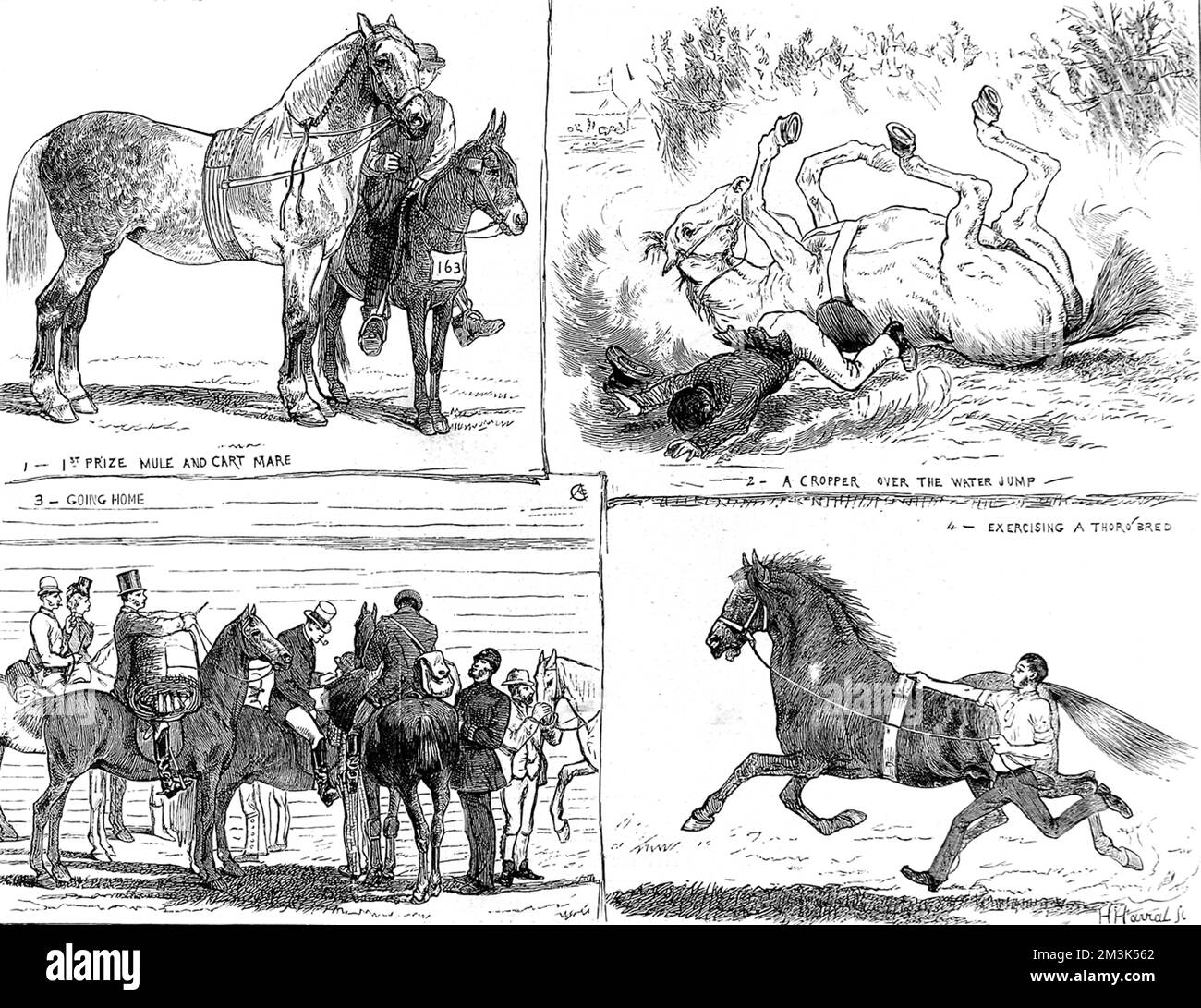 The Horse Show, Alexandra Park, Londra 1873 Foto Stock