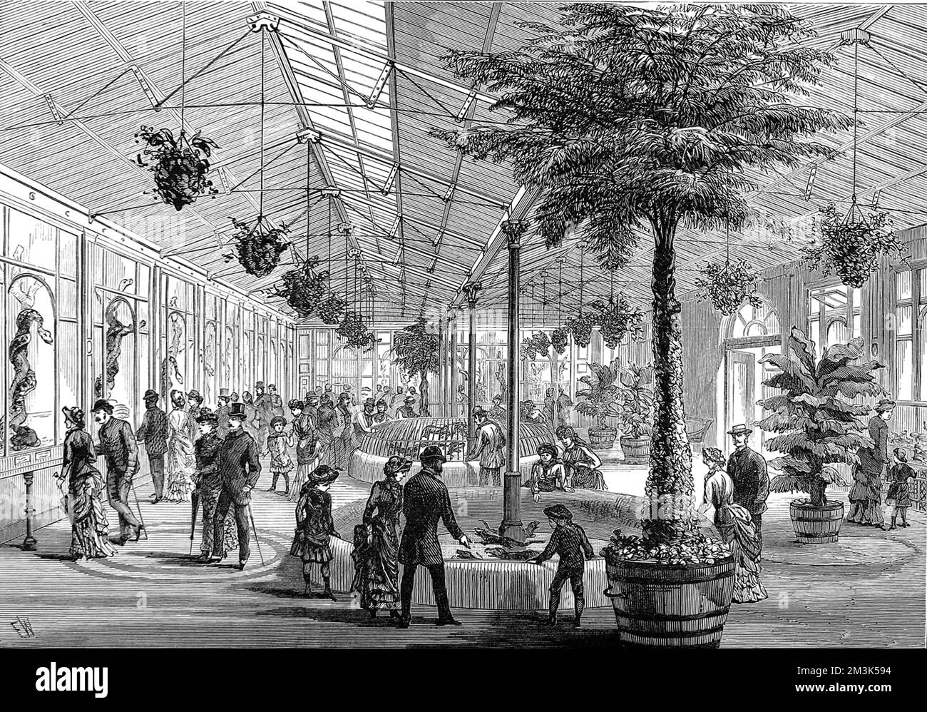 Interno della Rettile House presso i Zoological Society's Gardens (London Zoo) nel Regent's Park. 1883 Foto Stock