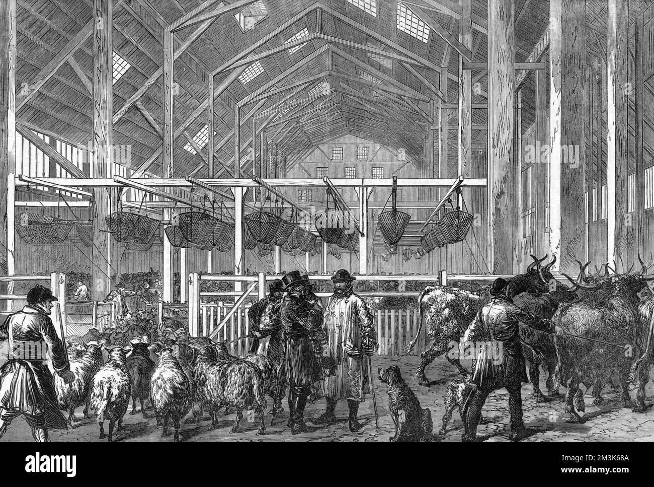 The Foreign Cattle Market, Deptford, Londra 1872 Foto Stock