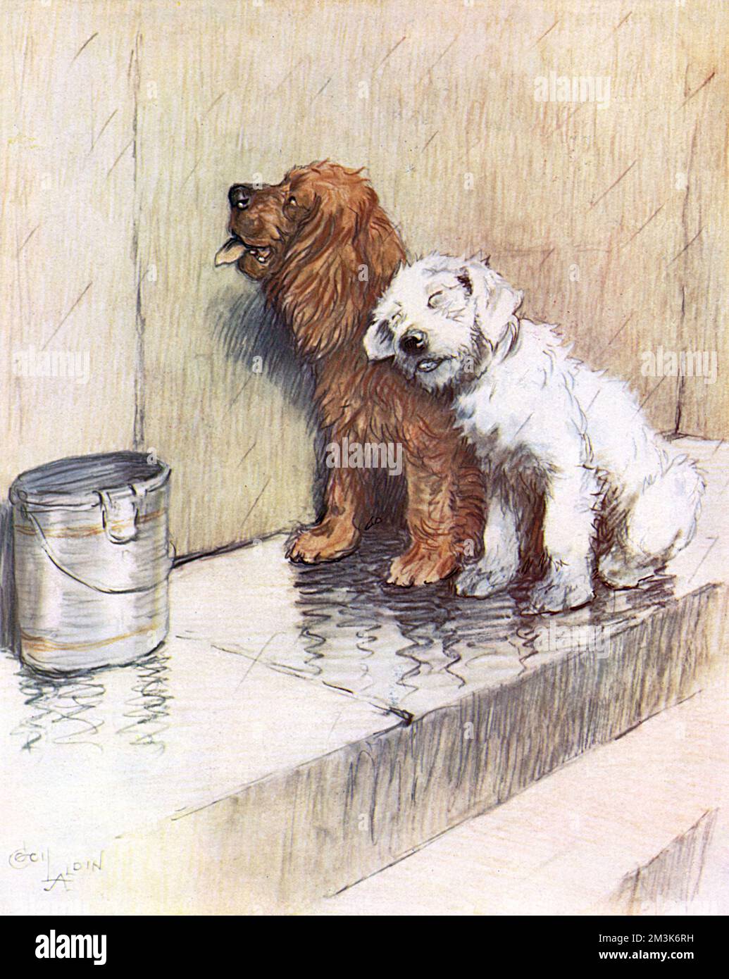 Un'illustrazione a colori della 'Woogles Series' di Cecil Aldin, che mostra due cani stanchi che dormono sul gradino della porta dopo una notte fuori in città. Data: 25th maggio 1932, p342 Foto Stock