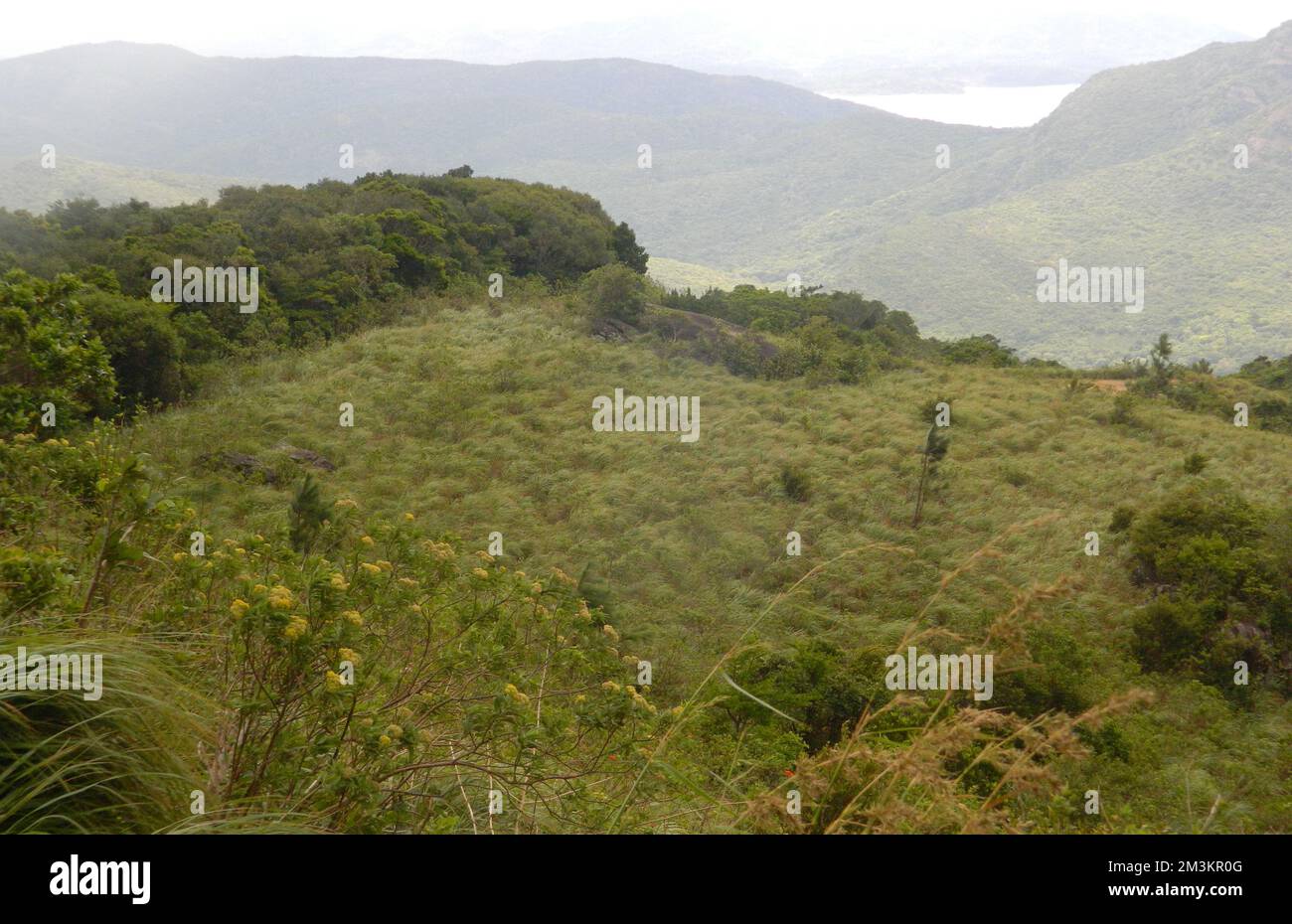 Riverston è una famosa destinazione turistica. La zona è dominata da splendide foreste pluviali secche di Pathana e Montane. Da questo punto di vista Pitawala Pathana, Lakegala, Thunnisgala e Manigala monti possono essere visti in giorni di sole. Sri Lanka. Foto Stock