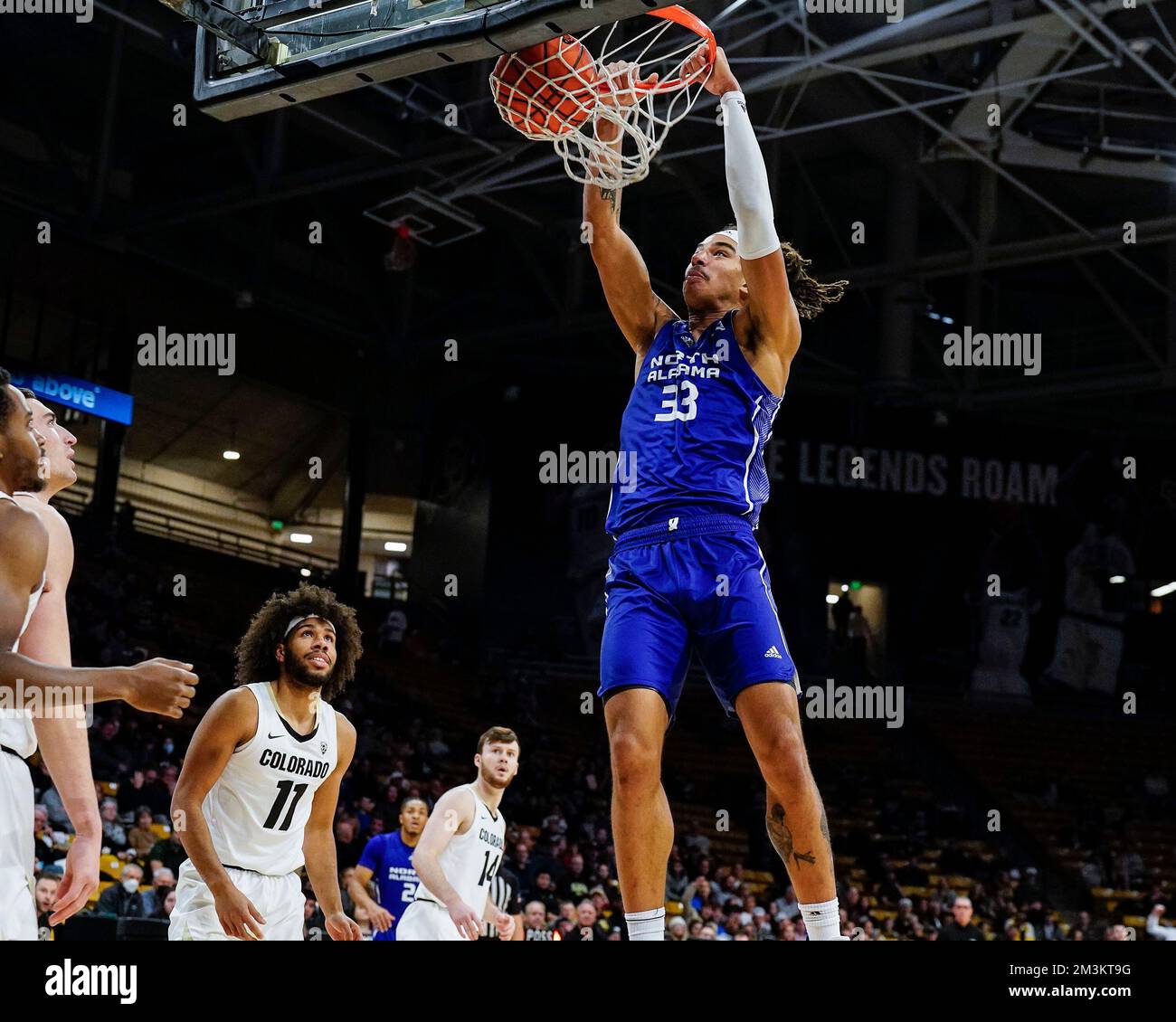 Boulder, Colorado, Stati Uniti. 15th Dec, 2022. I Lions del Nord Alabama Forrest Damian Forrest (33) si trovano a una casa nella partita di pallacanestro maschile tra Colorado e North Alabama a Boulder, Colorado. Derek Regensburger/CSM/Alamy Live News Foto Stock