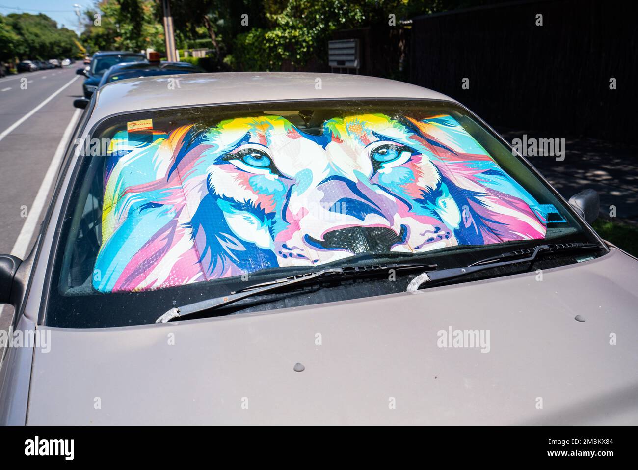 Parasole con leone arcobaleno in parabrezza per auto, Adelaide, Australia  Foto stock - Alamy