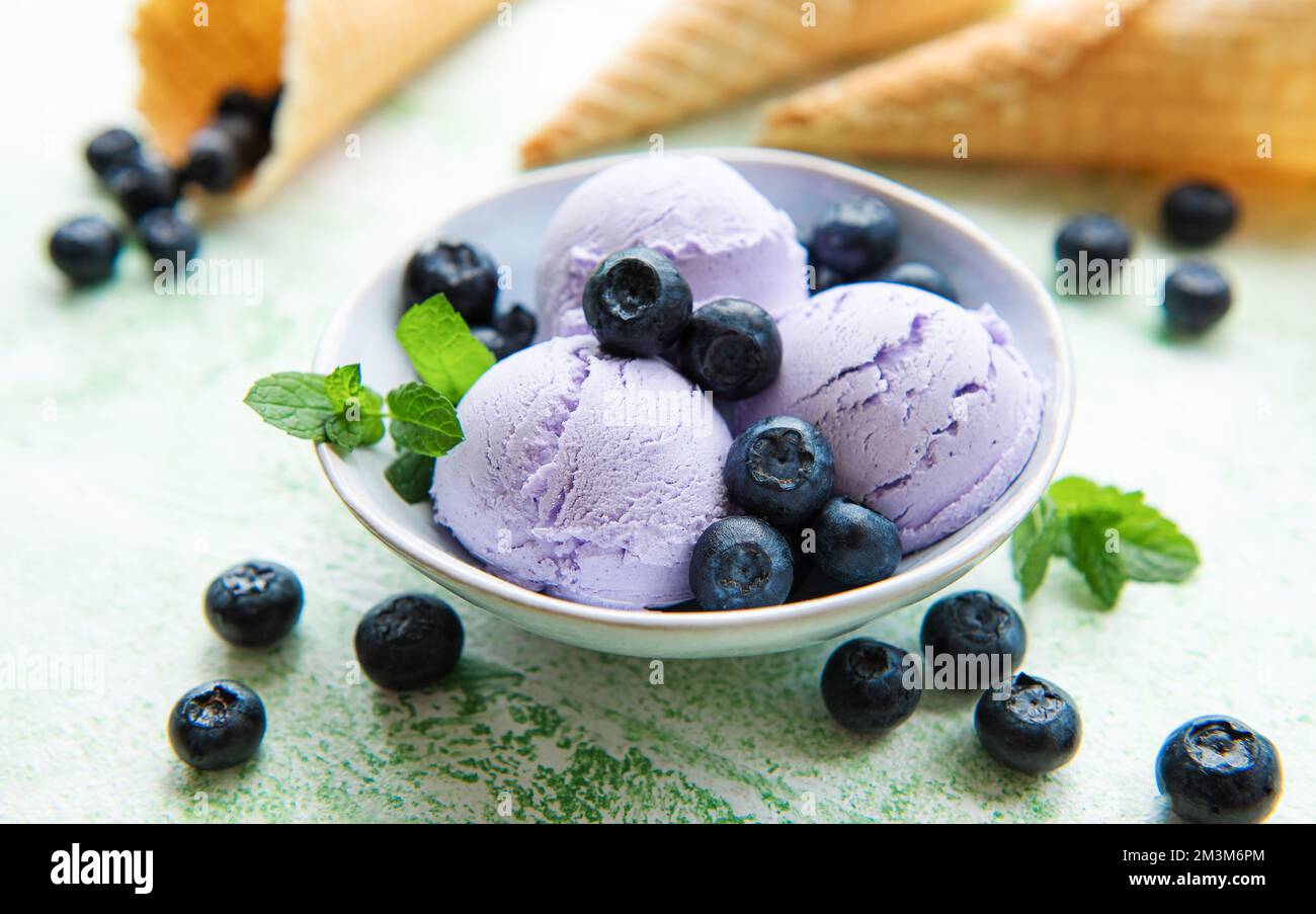 Gelato artigianale ai mirtilli con mirtilli freschi. Dolce estivo di frutti di bosco. Foto Stock