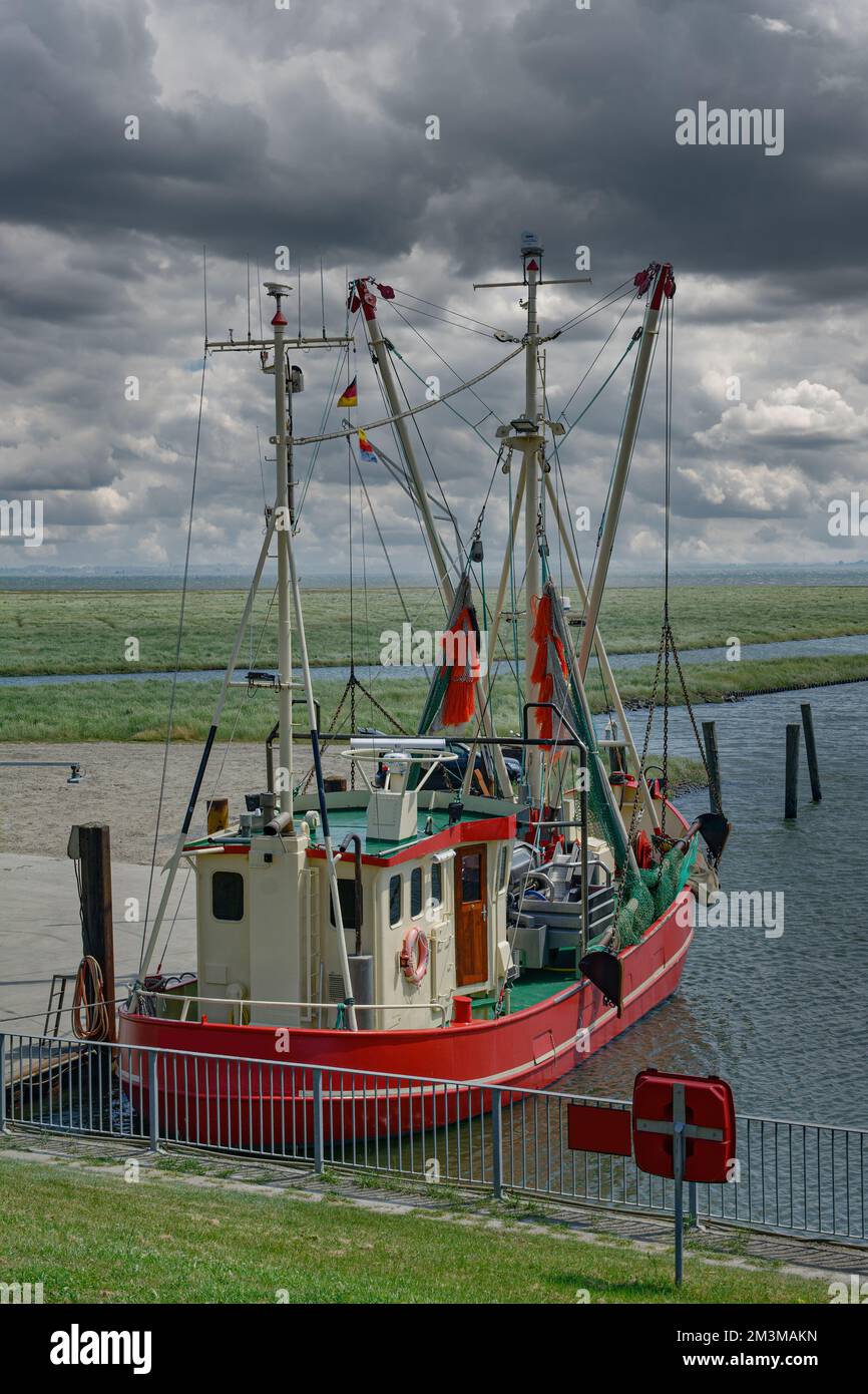 Barca di gamberetti a Suederhafen, Nordstrand Peninsula, Mare del Nord, Frisia del Nord, Germania Foto Stock